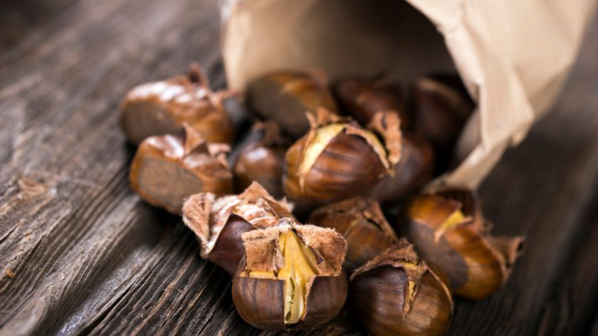 What is the difference between wild and tame chestnut?