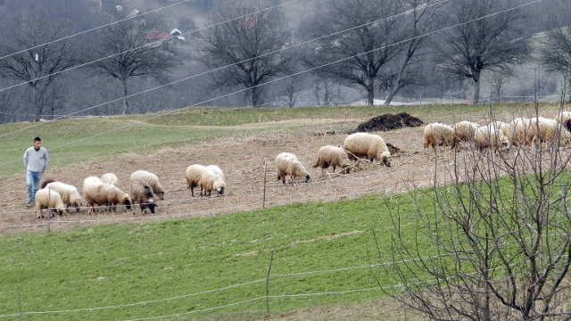 Država donosi posebne mere podrške za poljoprivredu - © Pixabay