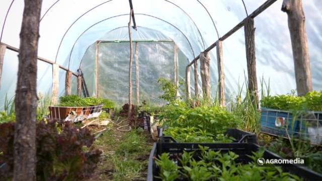 You need to know this: What to look for when buying a small greenhouse (polytunnel) - © Agromedia