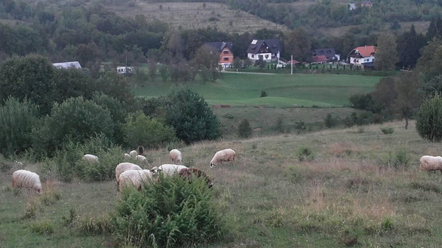 Selo © Miroslav Mašić