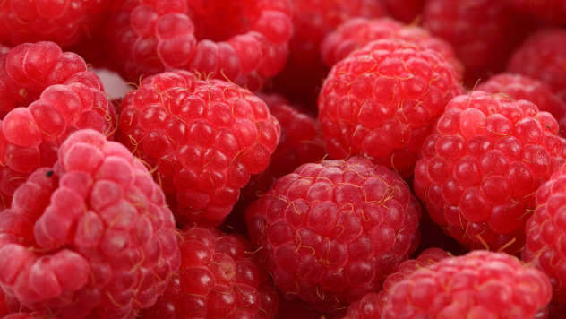 Raspberries - © Agromedia
