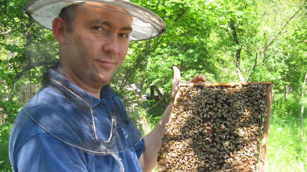 Nenad Milojković sa pčelama - © Foto: Nenad Milojković