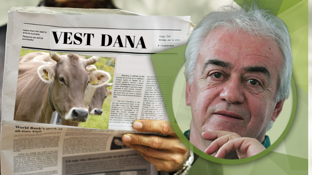 Muža krava kao vest dana - © Agromedia