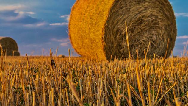 Za poljoprivrednike u Čačku ove godine više sredstava - © Pixabay