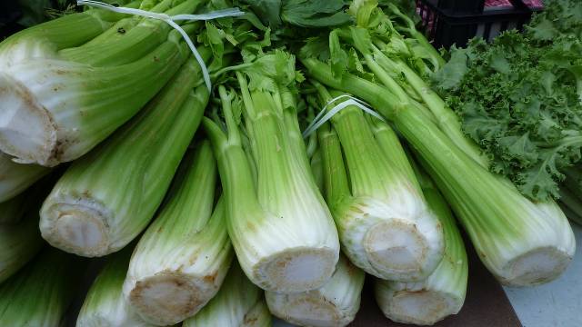 Kako se gaji celer? - © Pixabay