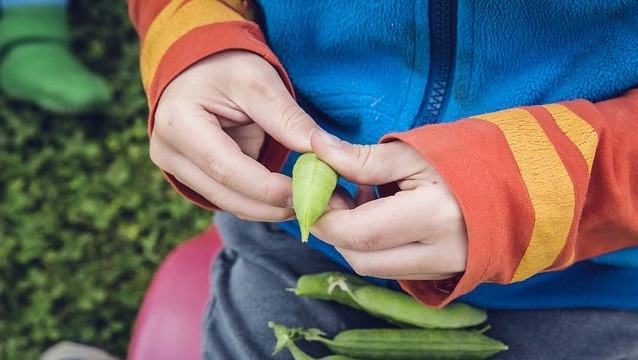 Zašto deca treba da nauče da gaje svoju hranu? - © Pixabay