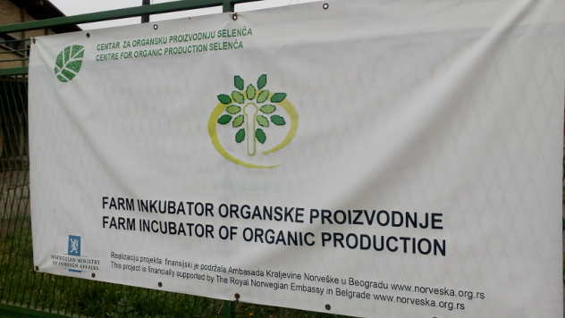 Farm inkubator u Selenči © Foto: Ljiljana Pavlović