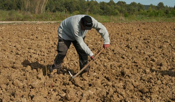 Zemljoradnici primaju manje od najmanje penzije - © Pixabay