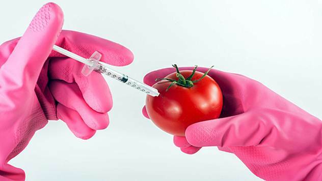 GMO hrana - © Pixabay