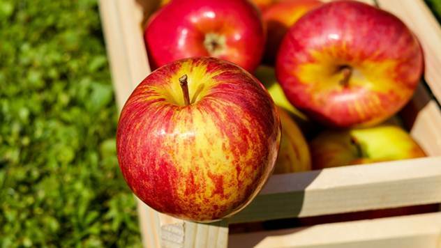 Sprečen izvoz 35 tona voća iz Srbije - © Pixabay