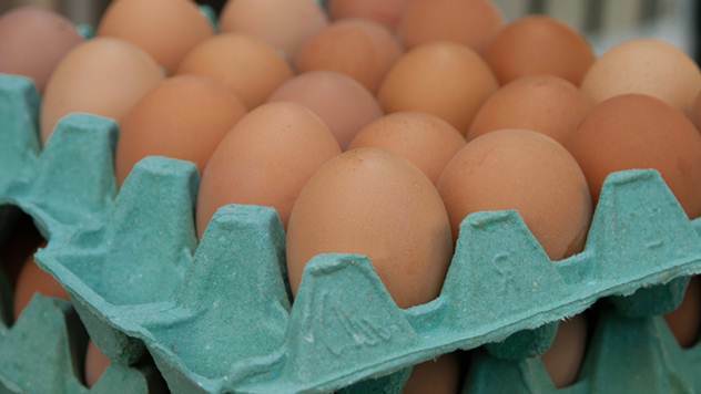 Kako povećati veličinu i kvalitet jaja kod koka nosilja - © Pixabay