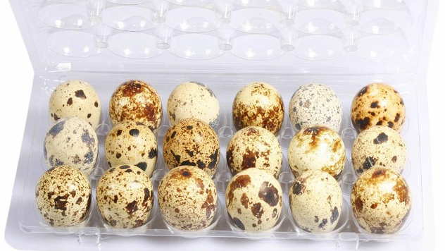 Prepeličja jaja - © Foto: Farma Nešić
