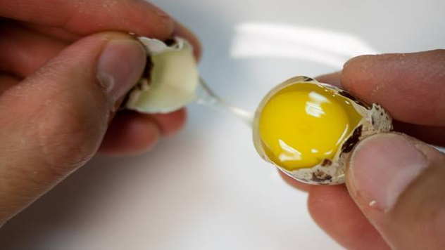 Prepeličja jaja imaju veliki broj značajnih nutritivnih sastojaka - © Foto: Farma Nešić