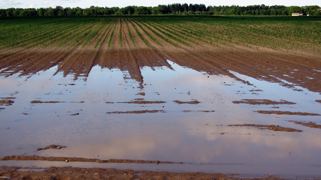Vremenski uslovi u poljoprivredi - © Pixabay