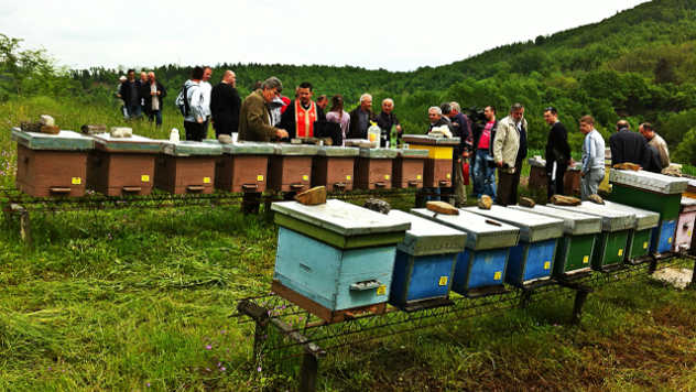 Udruženje pčelara Beli bagrem iz Leskovca - vlasnik fotografije Petar Savić