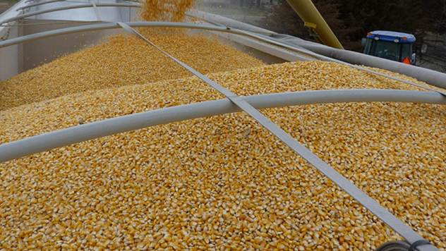 Izvoz kukuruza - © Pixabay