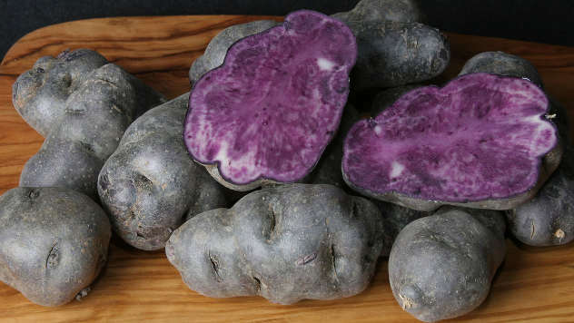 Ljubičasti krompir - © Foto: www.wikipedia.org
