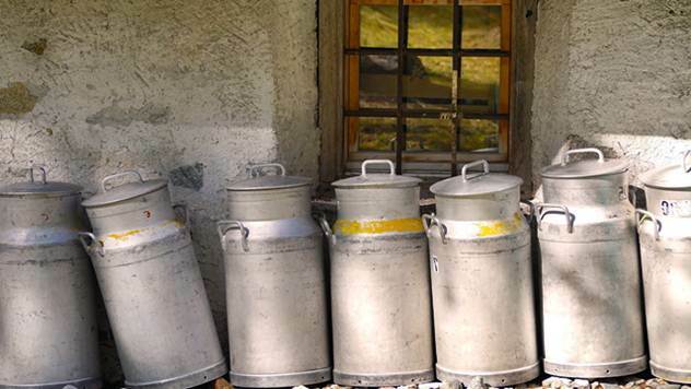Proizvođači mleka traže veće premije - © Pixabay