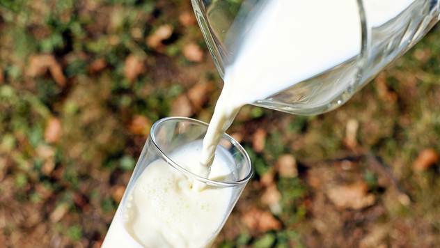 Ilustracija: PKB godišnje isporuči 12 miliona litara kravljeg mleka - © Pixabay