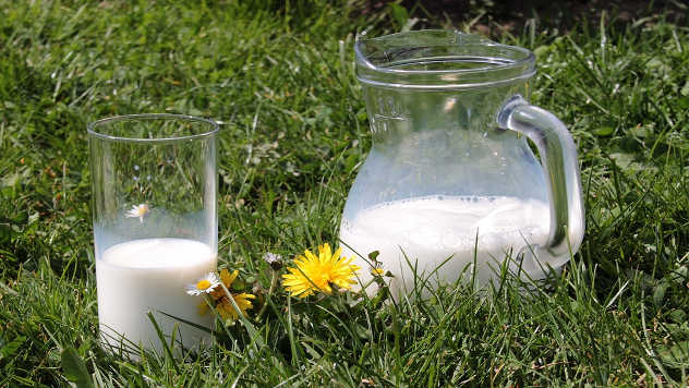 Mleko prelevman - Pixabay