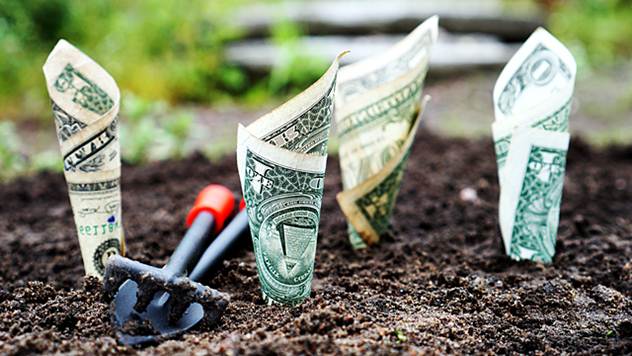 Za kupovinu poljoprivrednog zemljišta rok otplate kredita do 10 godina - © Pixabay