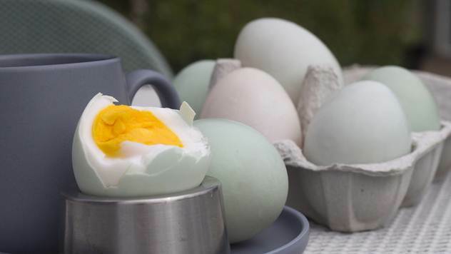 Sve što niste znali pačijim jajima - © Pixabay