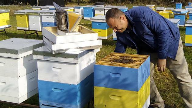 Ljubav prema pčelarstvu rodila se na fakultetu - © Dejan Davidović/Agromedia