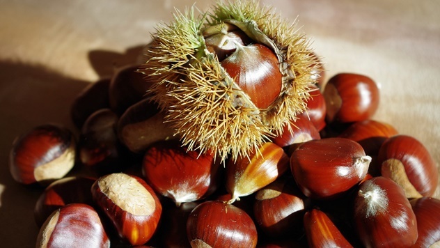 Kako da razlikujete plod pitomog od divljeg kestena - © Pixabay