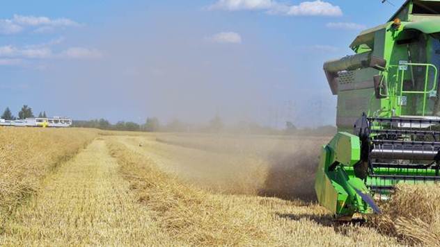 Nova premijerka će se boriti za snove srpskih poljoprivrednika - © Agromedia