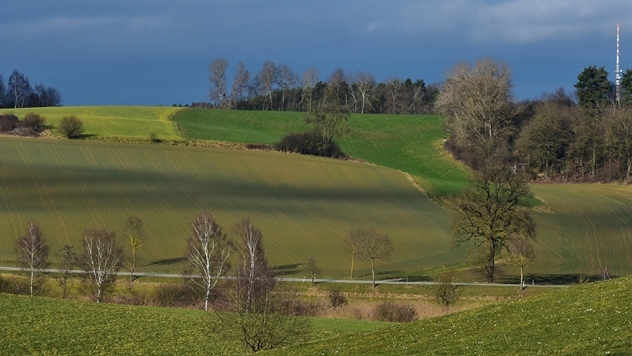 Pod korovom u Srbiji 12,3% poljoprivrednog zemljišta - ©Pixabay