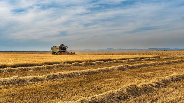 Harvested field - © Pixabay