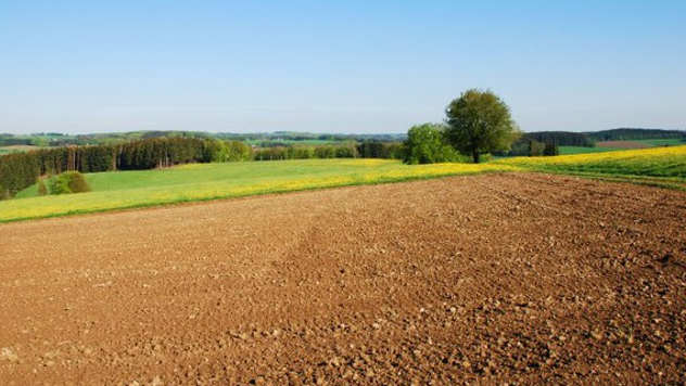 Poljoprivredno zemljište - © Foto: Agromedia