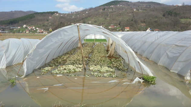 Poplave - Zapadna Morava © Foto: Milosav Đokić