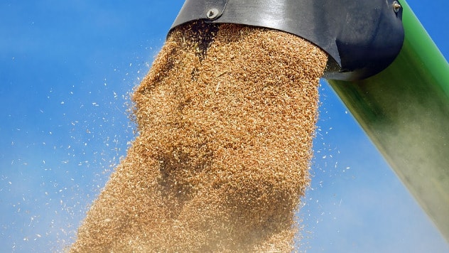 Izvoz pšenice u Egipad od 1. marta - ©Pixabay