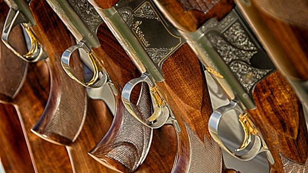 Puške za lov - © Pixabay