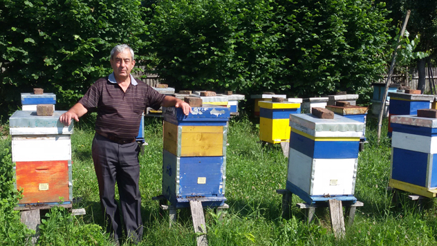Radoslav Karić u svom pčelinjaku - © Julijana Kuzmić / Agromedia