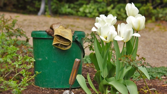 Uštedeće vam novac: 7 stvari iz kuće koje možete efikasno koristiti u bašti - © Pixabay