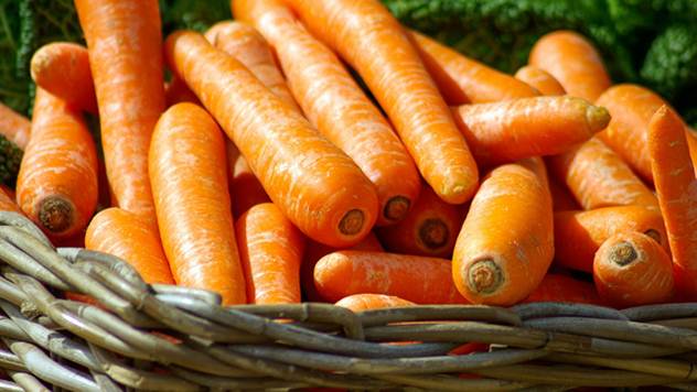 Kvalitet šargarepe iz Begeča oduševio svet i Evropu - © Pixabay