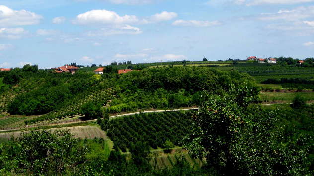 Panorama sela - © Foto: Biljana Nenković