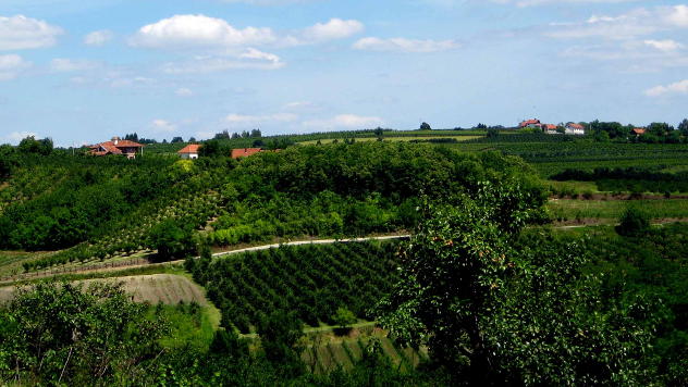 Panorama sela © foto: Biljana Nenković