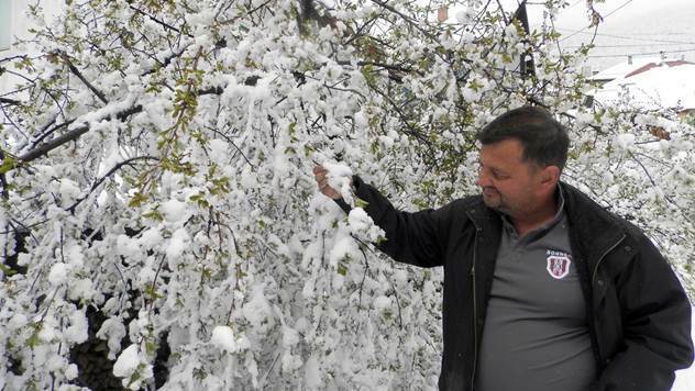 Sneg i grad već obrali voće u Novoj Varoši  - © Željko Dulanović