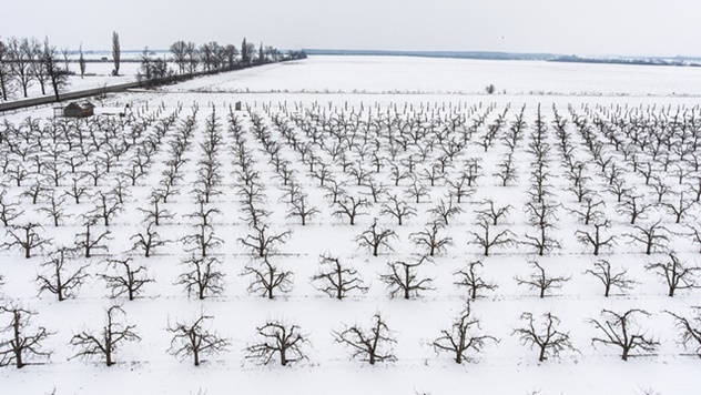 Loši vremenski uslovi ometali poljoprivredne radove - © Pixabay