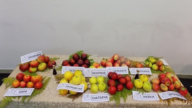 Stare sorte voća i povrća - © Dejan Davidović/Agromedia