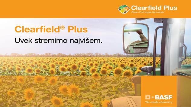 Clearfield Plus - Nova tehnologija u proizvodnji suncokreta - © BASF