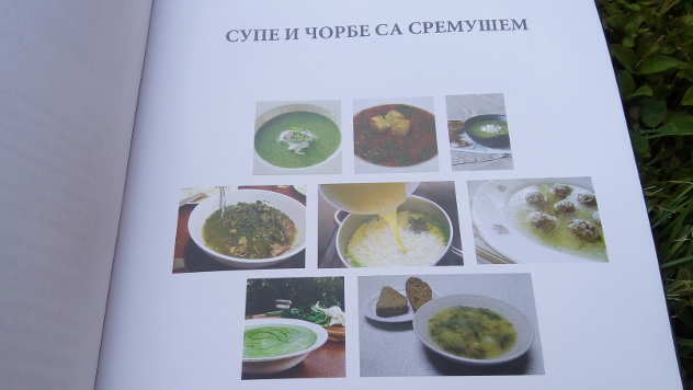 Recepti za supe i čorbe sa sremušem - © Foto: Dejan Davidović