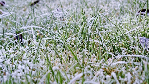 Zimska buđ: Bolest travnjaka karakteristična za zimu - © Pixabay