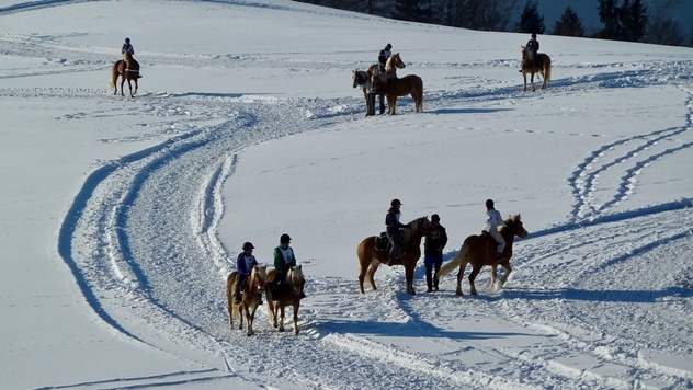 Trening konja drugačiji je zimi - © Pixabay