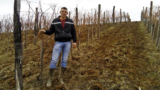 Porodica Damnjanović se uspešno bavi gajenje vinove loze - © Dejan Davidović