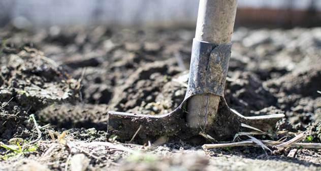 Kako uz pomoć slojeva malča možete da izgradite zdravo zemljište u bašti - © Pixabay