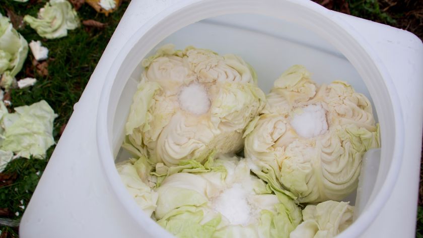 2 proven recipes for perfect sauerkraut!